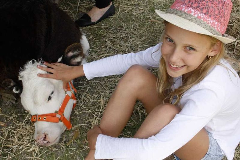 Spring has sprung, come celebrate…. post image