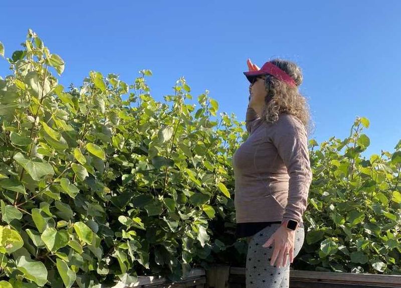 Michelle Gilmore enjoying the lookout views Image Fiona Worthington