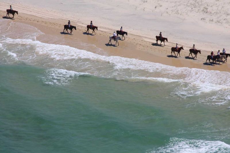 Along with Bondi lifeguards, Kangaroo Island cellar door operator and Falls creek Ski Instructor, Rainbow Beach Horse Rides I