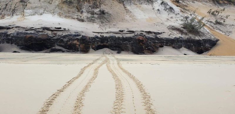 Turtle tracks spotted just south of Mudlow Rocks, Rainbow Beach