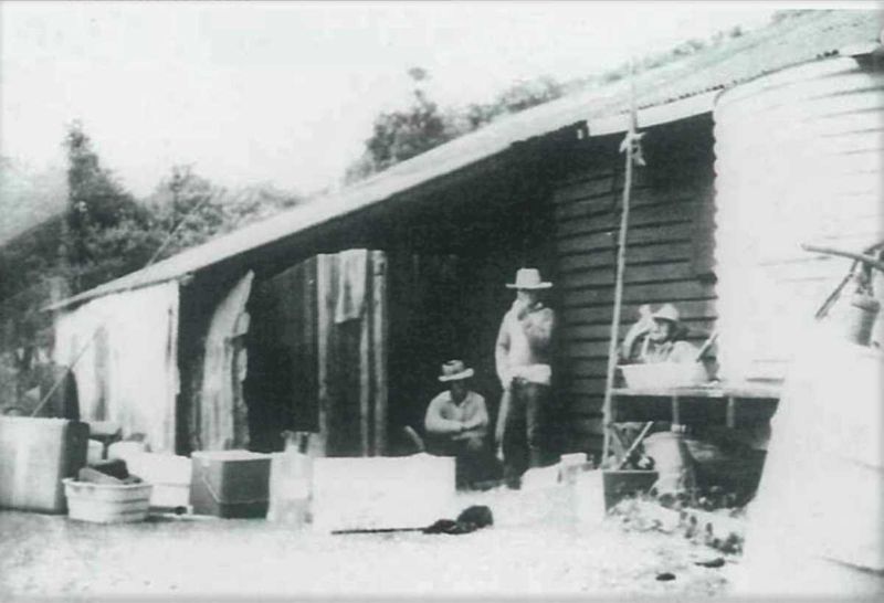 WAY BACK WHEN - Chaplin's Ice Shed at Double Island Point
