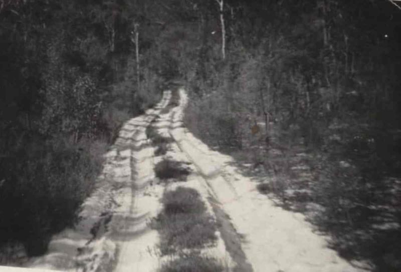 The Road to Rainbow was just a sandy track in 1959. This photo was taken and is printed with permission from Gympie The real