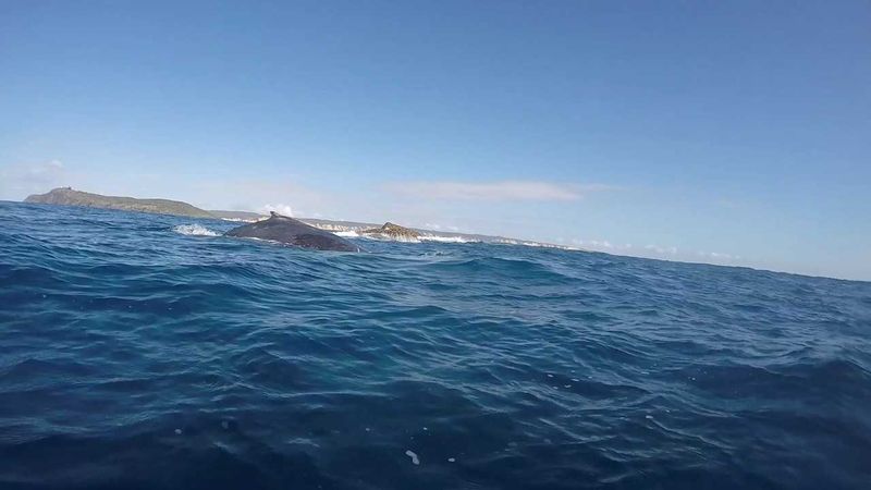 A busy month at Wolf Rock post image