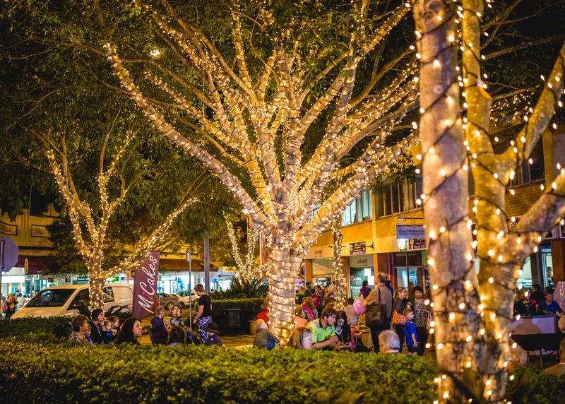 Winter Trees on Mary back bigger than ever in 2018 post image