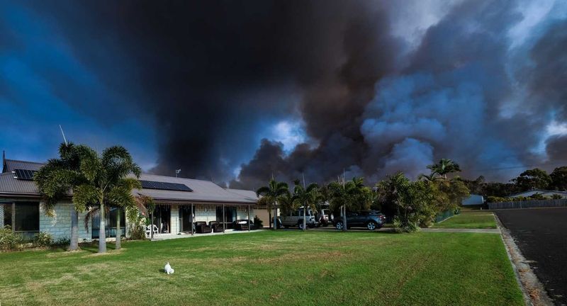 Peter Thwaites took this dramatic photo in front of his home in Cooloola Cove, entitled ".... when you've just got to have fa