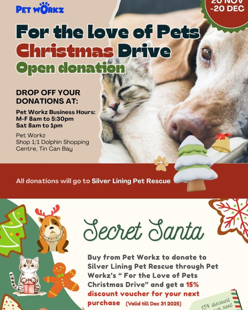 Pet Workz Partners with Silver Lining for Christmas Giving post image