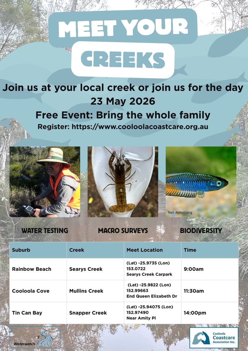 Meet Your Creeks: Community Event to Explore and Protect Local Waterways post image