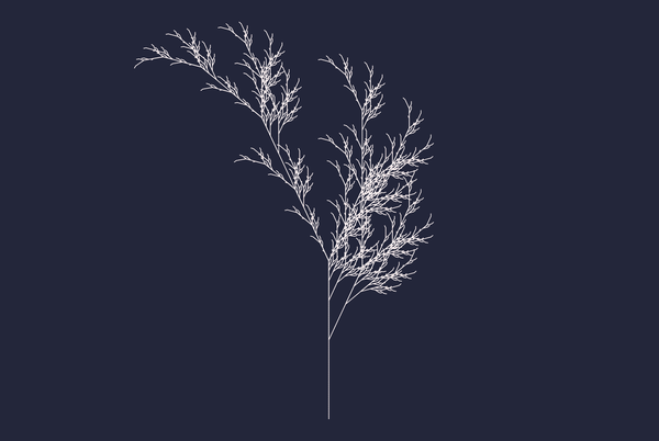 Drawing Fractals with L-Systems in p5.js: A Creative Coding Tutorial