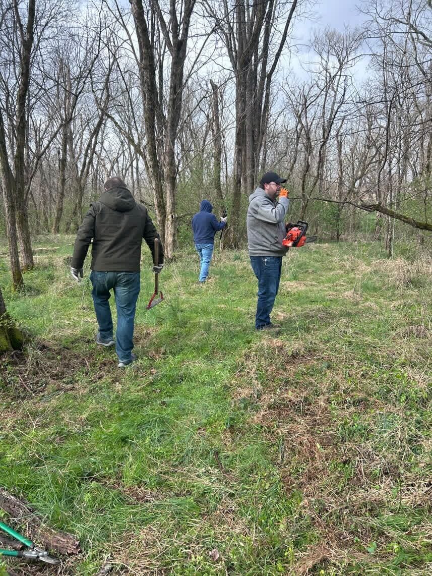 Volunteers clearing brush with chainsaws at LIVE-IT Ministries