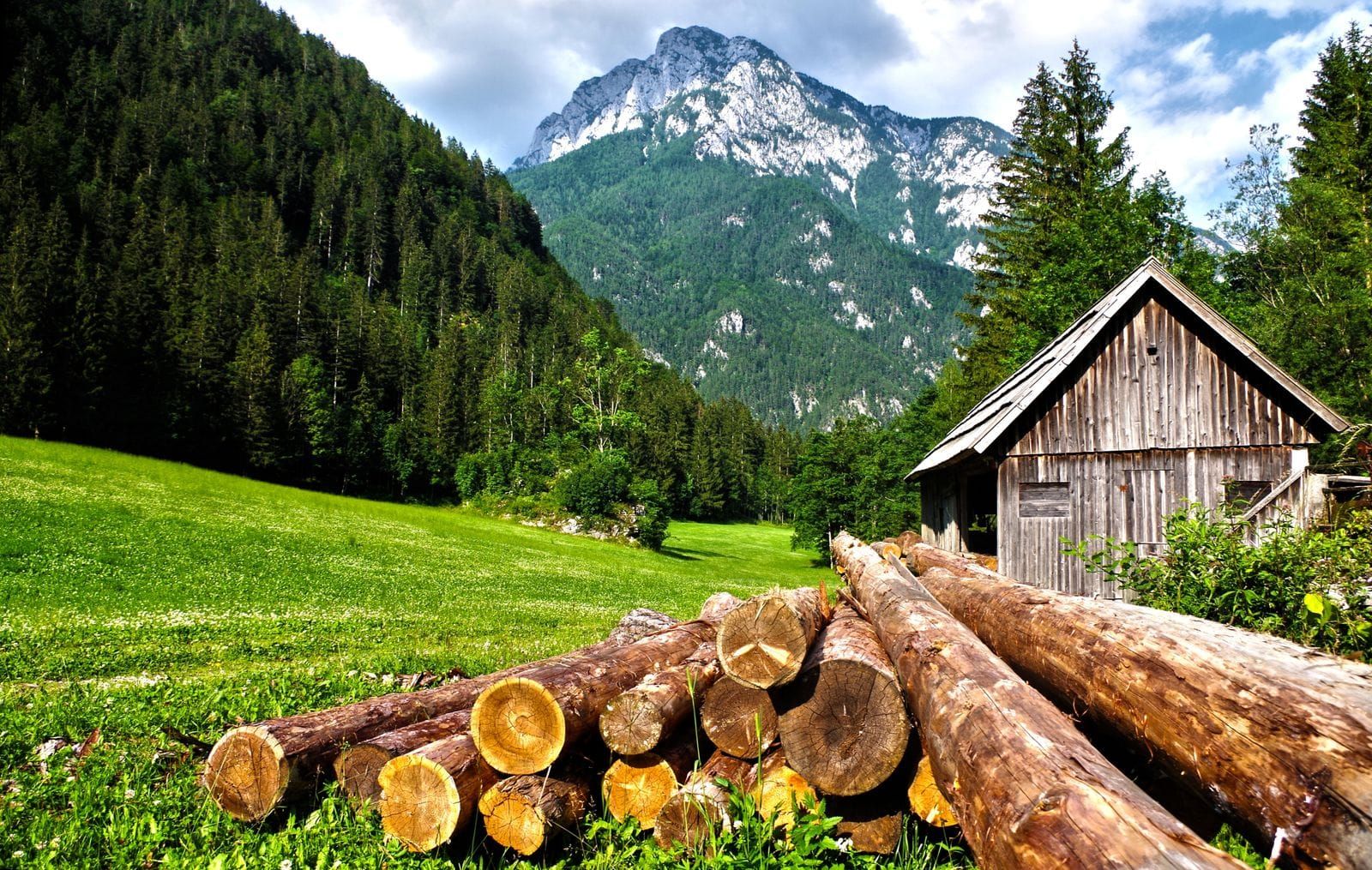 Buying an Investment Cabin in Pigeon Forge TN: 2026 Local Guide