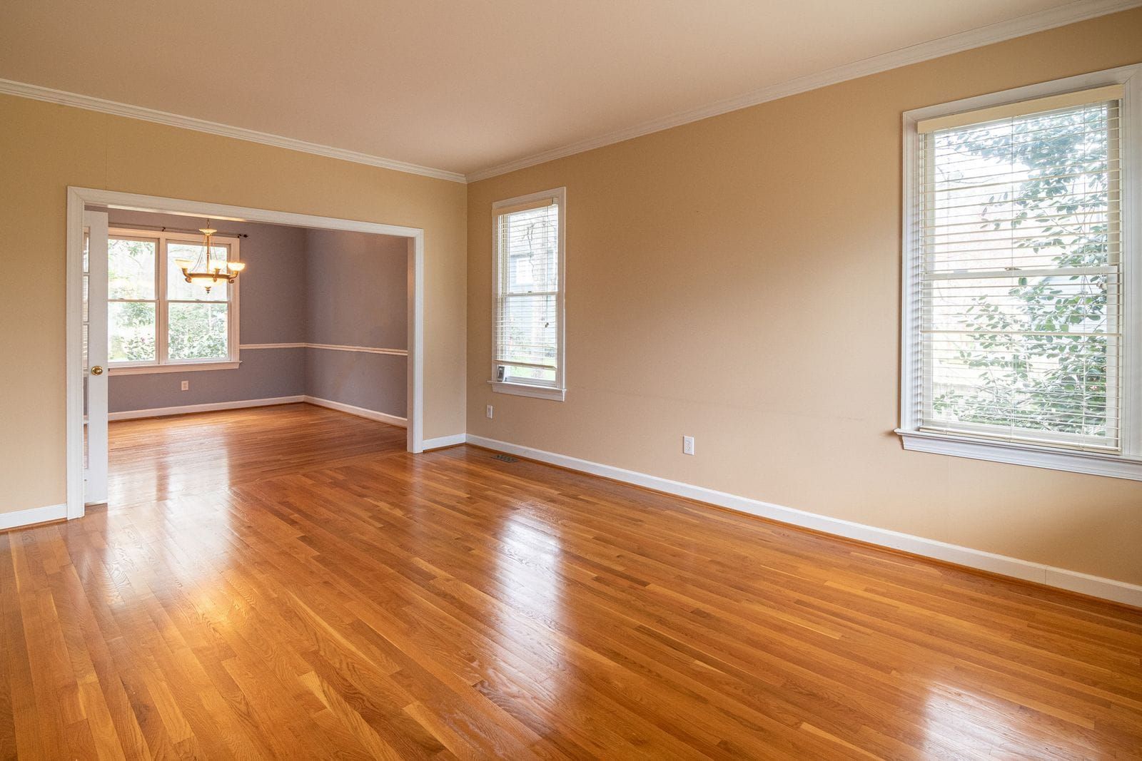 Empty Nashville bungalow on a late-summer street with no people, logos, or text
