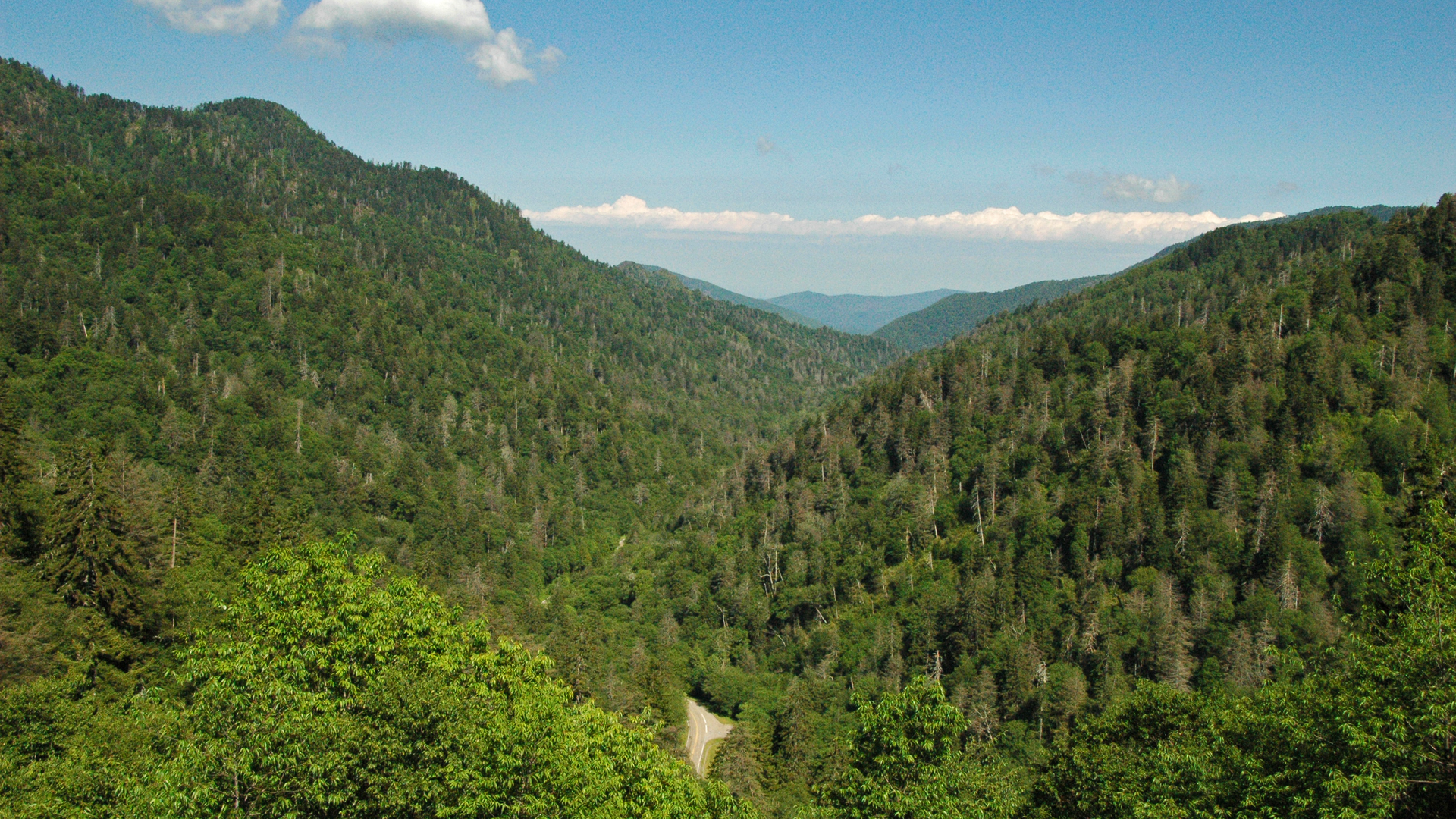 Photoreal forested mountain valley under a blue sky in the Tennessee Valley region, no people, logos, or text