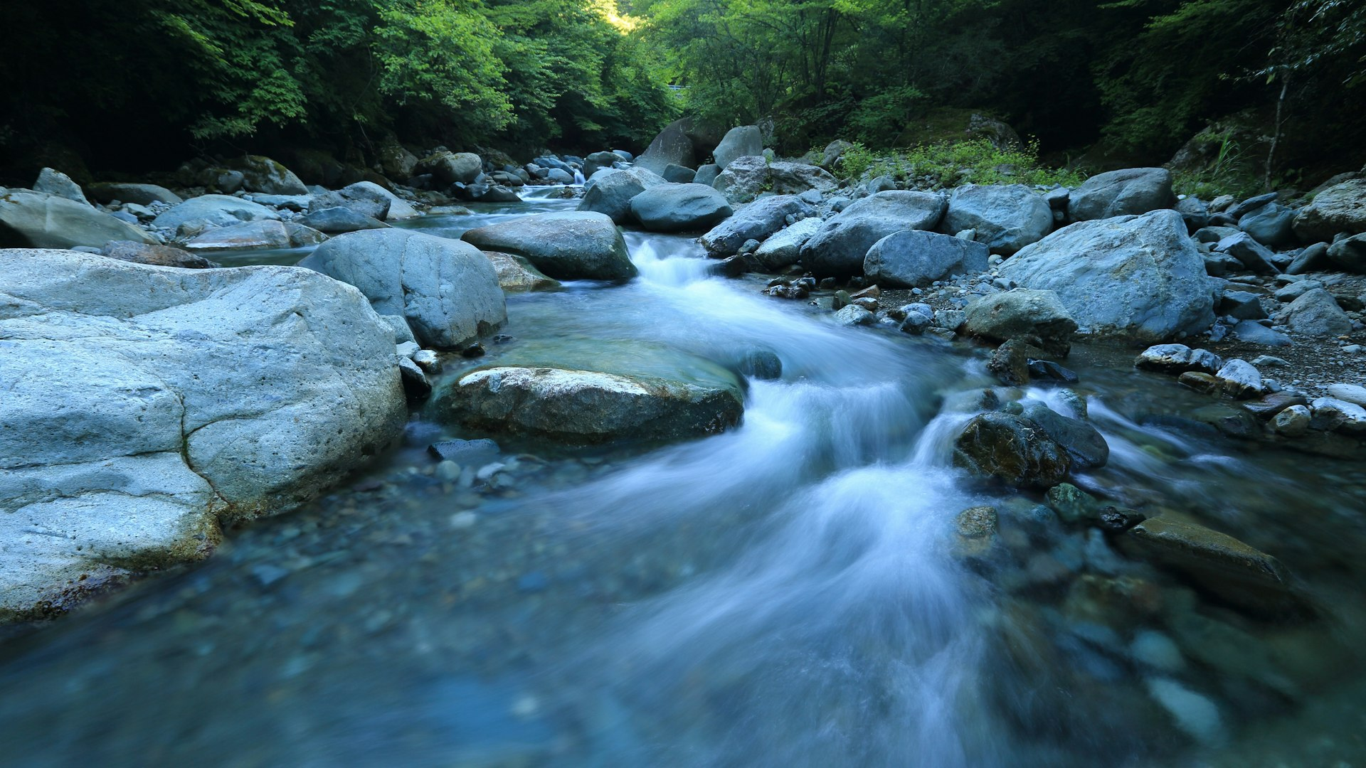 Photoreal mountain stream rushing over smooth boulders under a green forest canopy in East Tennessee, no people, logos, or text