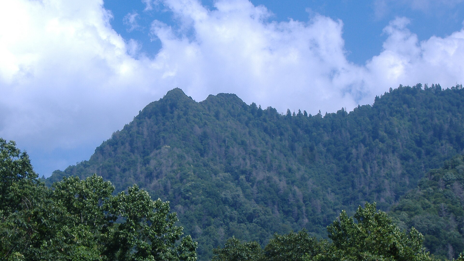 Chimney Tops peaks rising above a forested ridge in the East Tennessee mountains