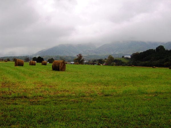 What to Expect Working with a Wears Valley Realtor