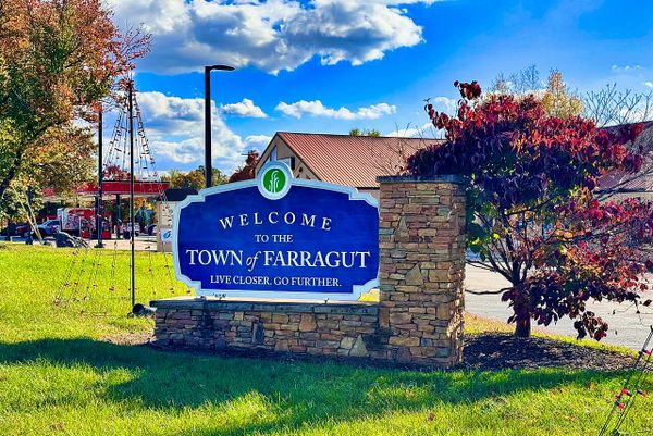 Best Real Estate Agents in Farragut TN — 2026 Rankings