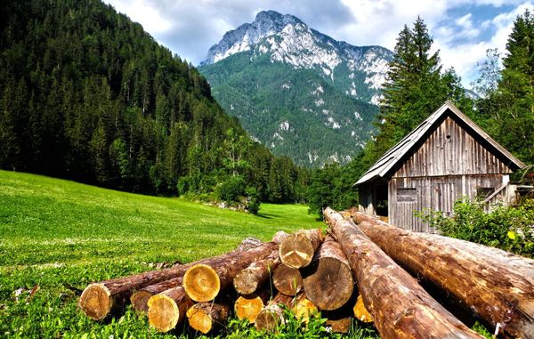 Buying an Investment Cabin in Pigeon Forge TN: 2026 Local Guide