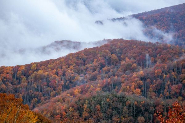 Gatlinburg Real Estate Trends 2026: Navigating the Vacation Home Market Shift