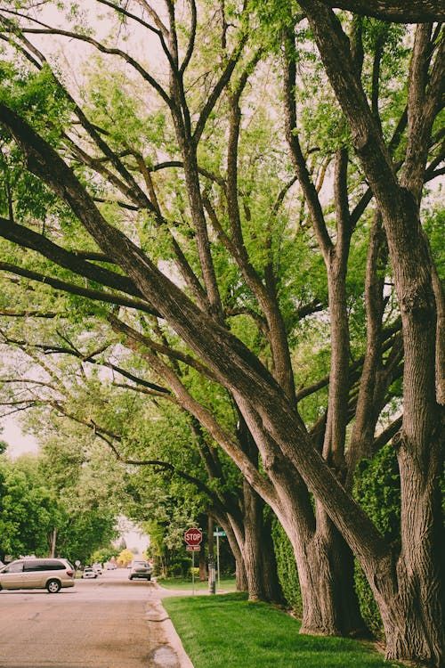 Sell My House Fast in Knoxville TN: What It Actually Costs in 2026