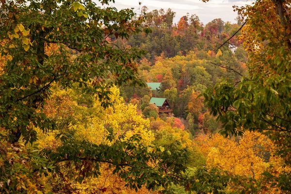 Habitat for Humanity Is Coming to Sevier County — What It Means for Home Prices