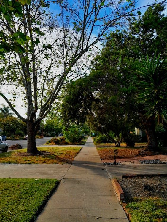 Quick Sale in Knoxville: Brandon's Home Sold Without the Stress