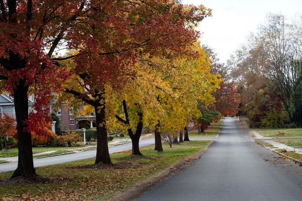 Relocating to Sevierville: How Lisa Found a Home in a New Area