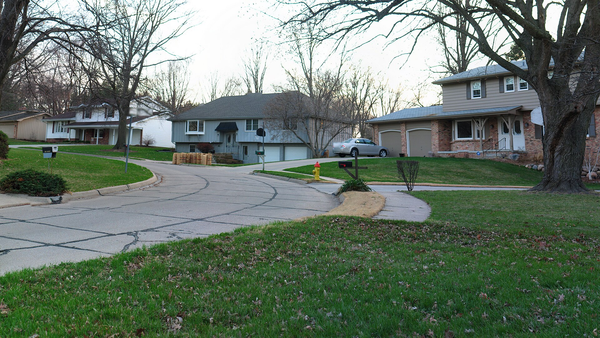 A quiet residential street lined with houses, green lawns, and mature trees
