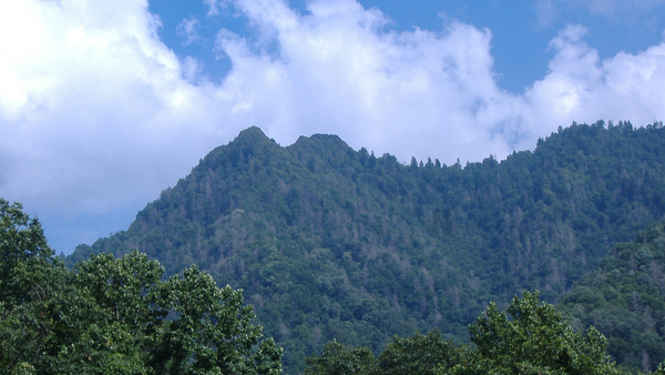 Chimney Tops peaks rising above a forested ridge in the East Tennessee mountains