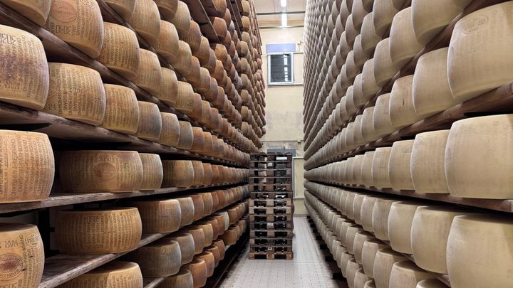 Stacks of aging parmesan cheese