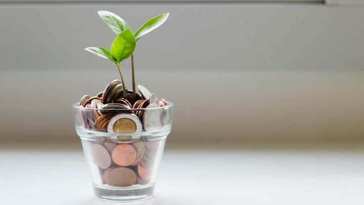 Plant in a glass filled with coins