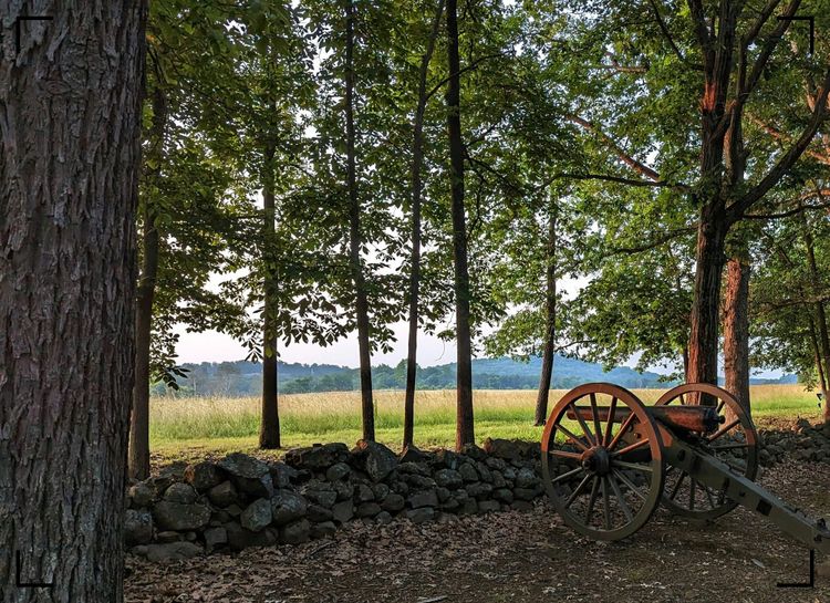 A quiet scene with a cannon behind a crumbling stone wall at the edge of the woods in Gettysburg National Military Park.