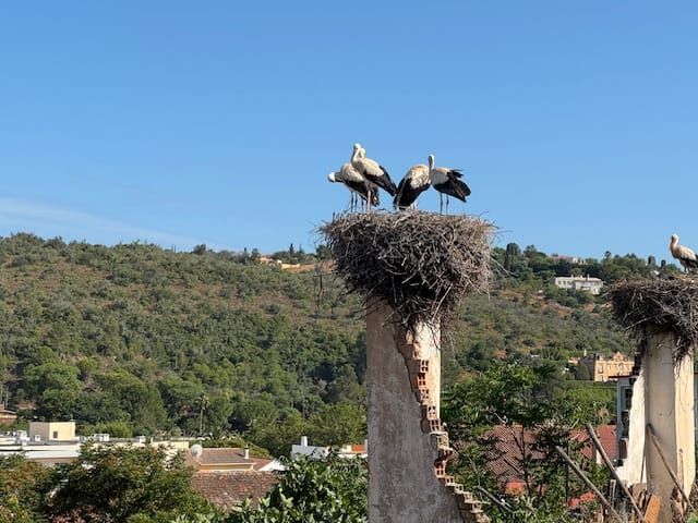 Recent Adventure to Portugal from Porto to Algarve