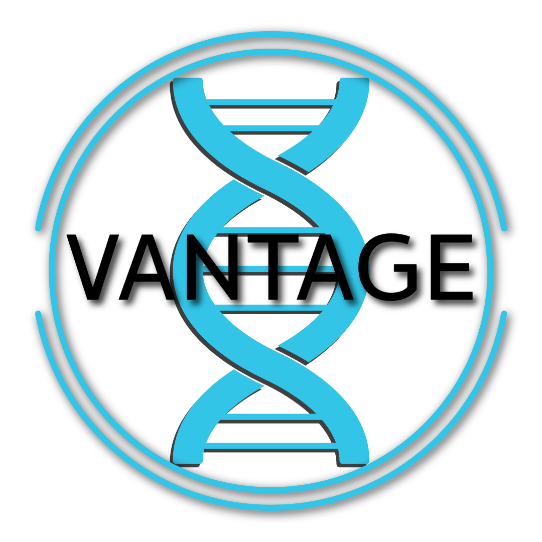 Vantage Dynamics insignia
