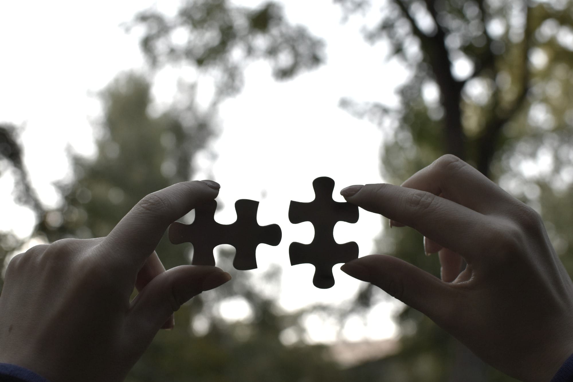 a person holding two pieces of a puzzle