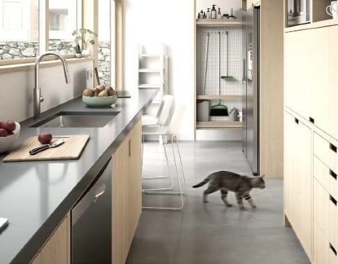 Modern kitchen with light wood cabinets, windows, and a cat.