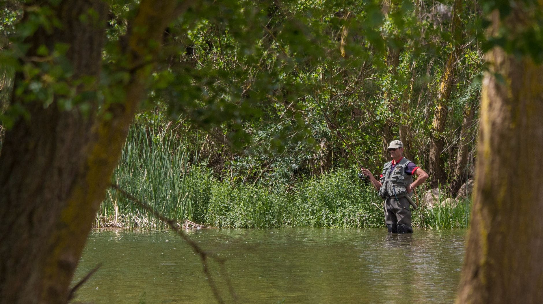 Peaceful scene of a man fly fishing in a scenic forest river setting.