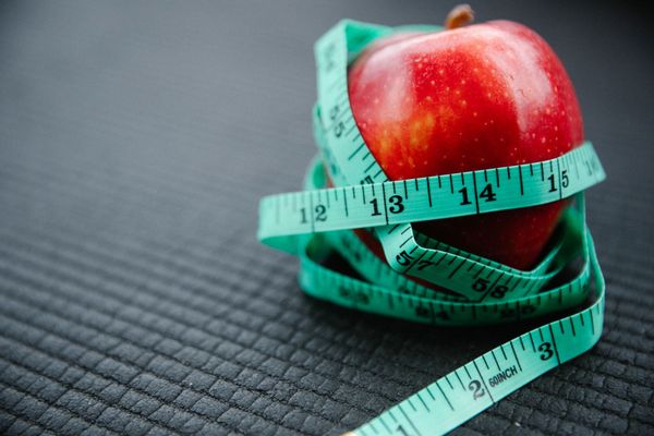Quanta proteína por dia para emagrecer sem perder massa magra