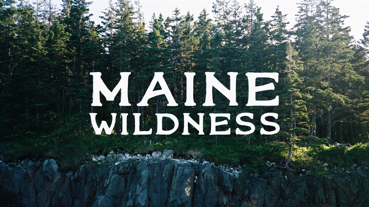 Maine Wildness