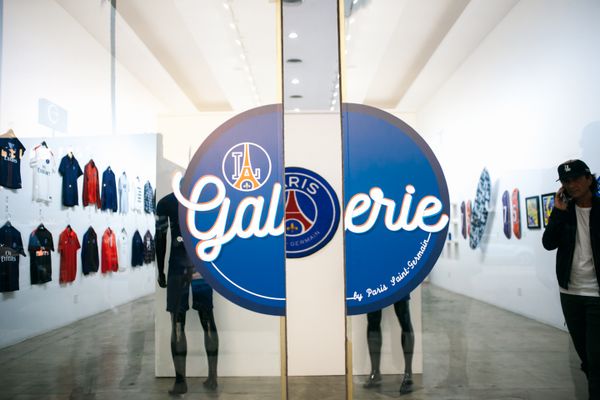 THE PSG PROJECT