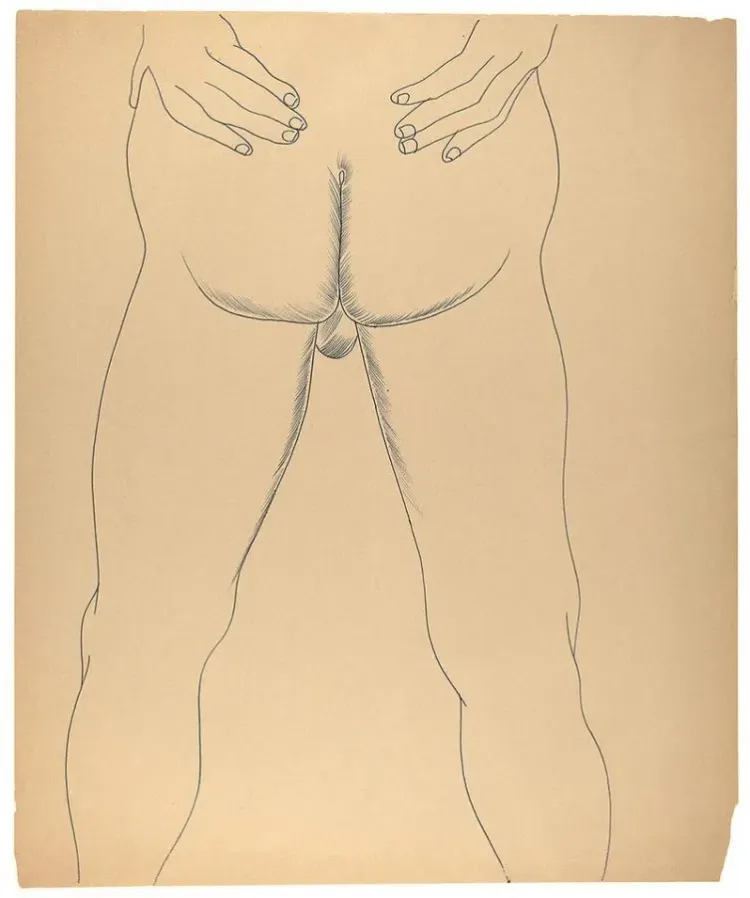 A journey through art in the male nude and its pornography: Andy Warhol's