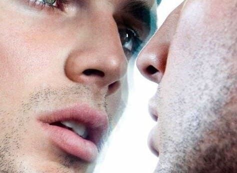 The erotic of the male