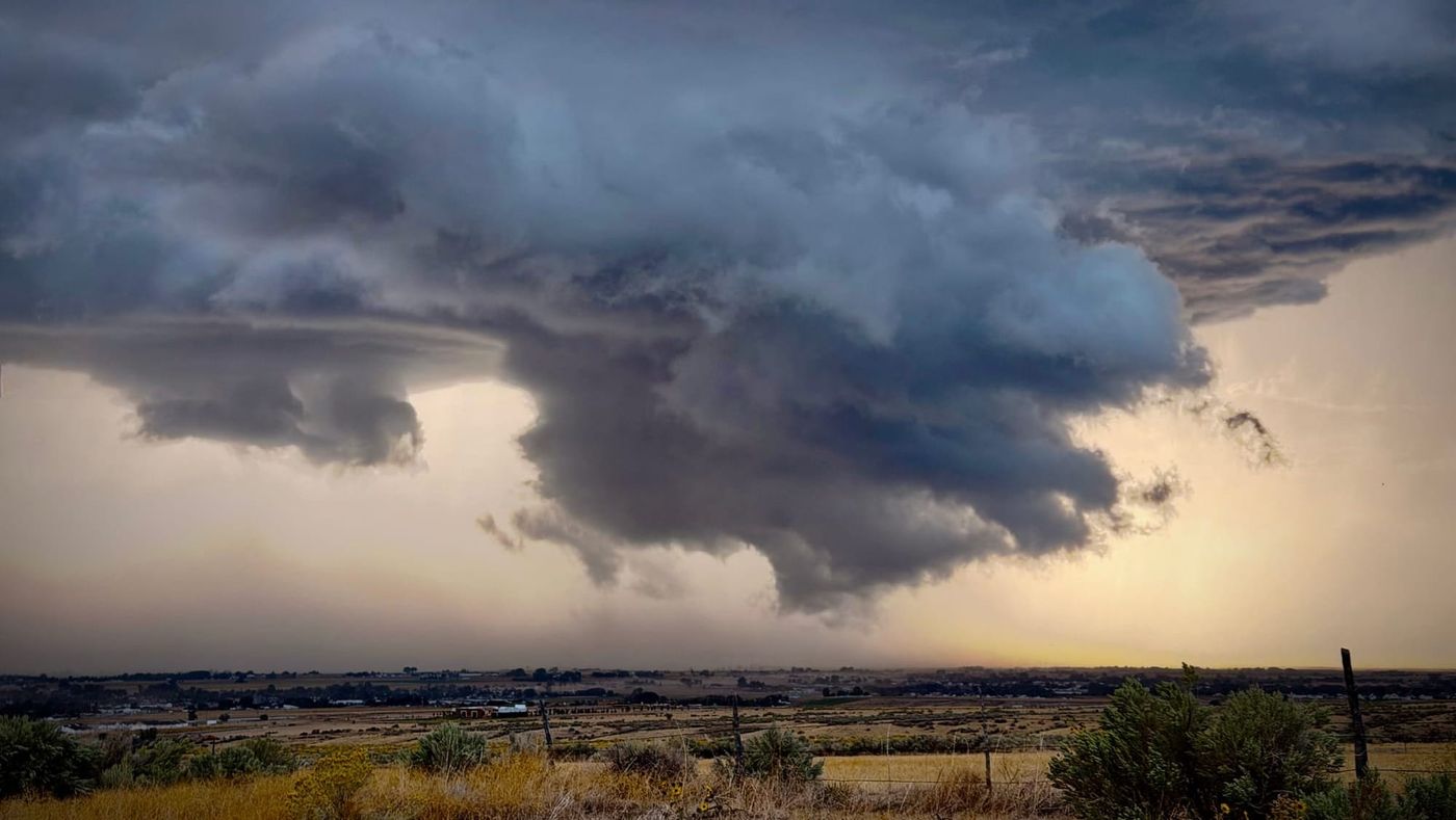 Weekend Wrap: 'Tis the Season (no, not THAT one)