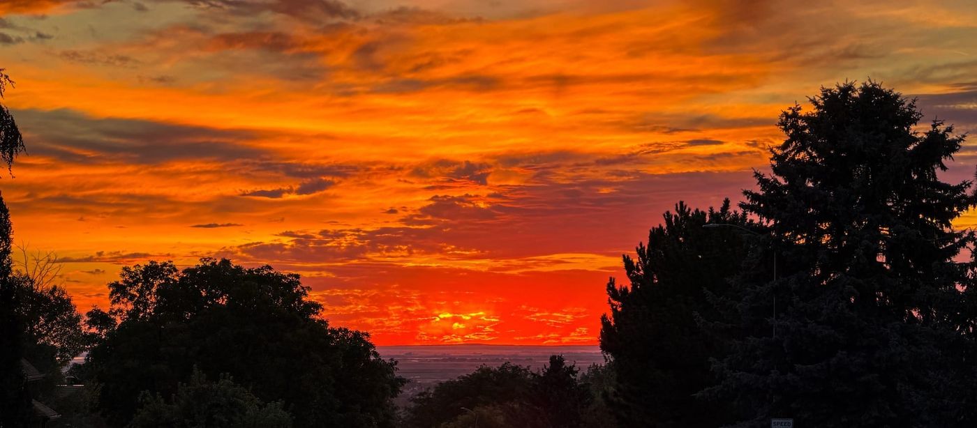 Weekend Wrap—A Gothic Surprise, a Week off the Rails, a Return