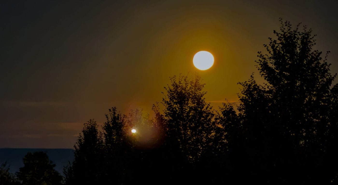 Weekend Wrap: Disappointing Oneself