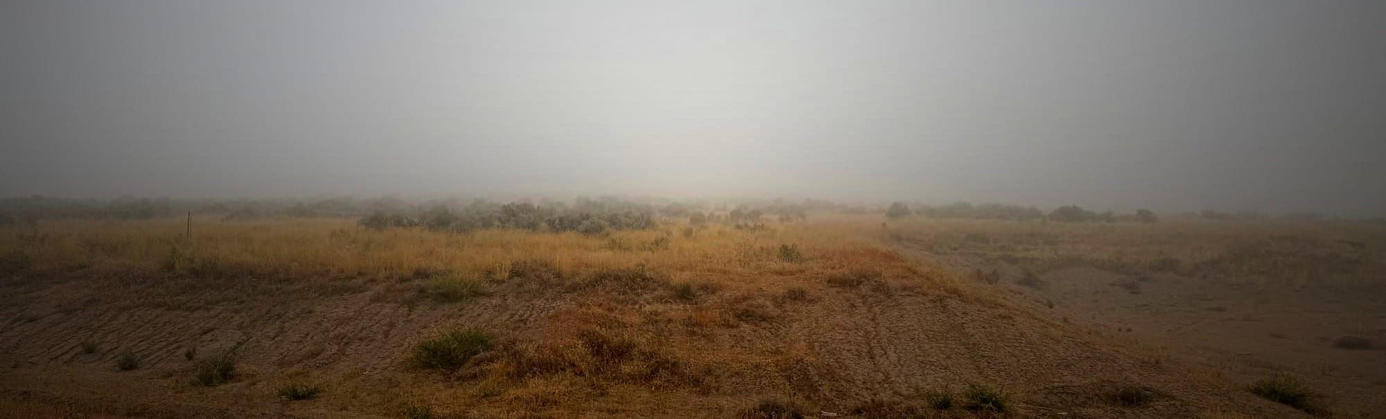 Weekend Wrap 10/05/2025