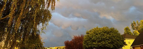 Weekend Wrap 9/28/2025