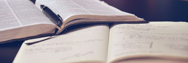 Training to Write My Next Novel