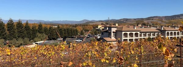 Weekend Wrap 11/02/2025