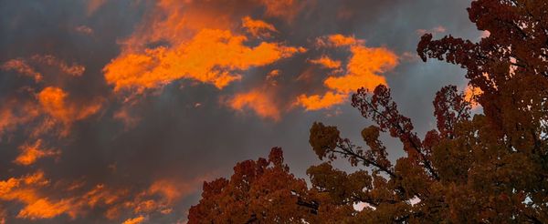 Weekend Wrap 11/30/2025