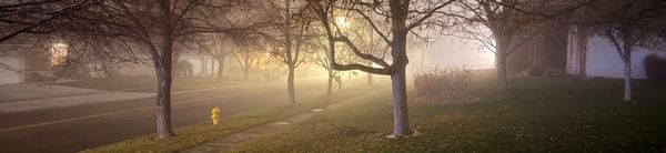 The Myth of the Extraordinary Life